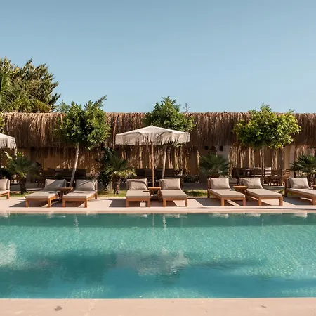 Ulmo Collection - Ayasaranda *