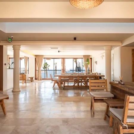 Ulmo Collection - Ayasaranda *